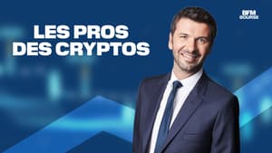 Les Pros des Cryptos