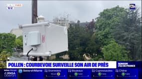 Pollen: Courbevoie surveille son air de près
