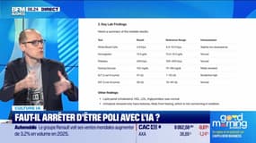 Culture IA : Faut-il arrêter d'être poli avec l'IA ?, par Anthony Morel - 21/01