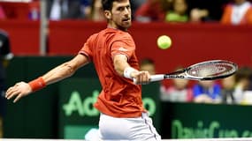 Au lendemain de la victoire de Novak Djokovic en simple, le double serbe a apporté à son pays le troisième point qualificatif pour les demi-finales de Coupe Davis.