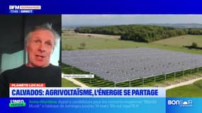 Planète locale du mercredi 19 février - Calvados : agrivoltaïsme, l'énergie se partage 