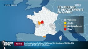 11 départements en alerte sécheresse: "Économiquement ça va être catastrophique"