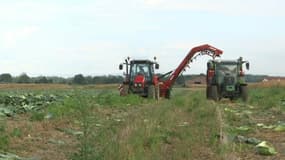 Le projet de loi agricole a été retoqué dans les grandes largeurs par le Conseil constitutionnel