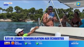 Aux îles de Lérins, les plaisanciers sensibilisés aux gestes pour protéger l'environnement