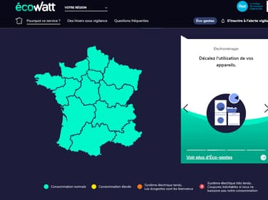 Ecowatt, la "météo de l’électricité pour une consommation responsable". (Capture d'écran)