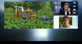 "La question n'est plus de diminuer les doses, mais de supprimer les pesticides"