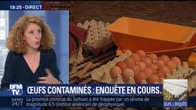 Œufs contaminés: Foodwatch dénonce l’opacité des autorités françaises