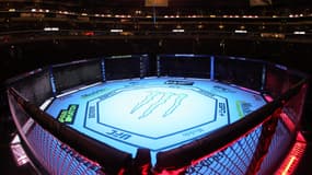L'Octogone de l'UFC