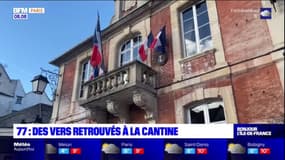 Des vers de farine retrouvés à la cantine de Lagny-sur-Marne