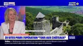 Alsace: 28 châteaux et deux cités fortifiées à visiter le 1er mai pour l'opération "Tous aux châteaux"