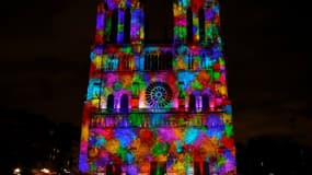 Spectacle de son et lumière sur la façade de la cathédrale Notre-Dame de Paris, à l'occasion de la commémoration de l'Armistice, le 11 novembre 2017