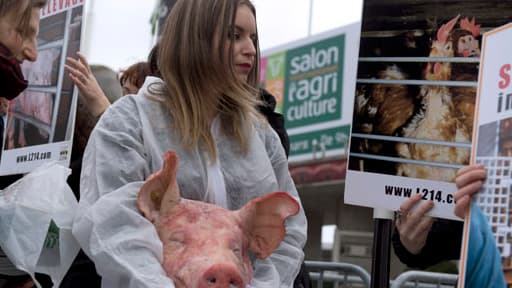 Des activistes "vagan" devant le Salon de l'agriculture.