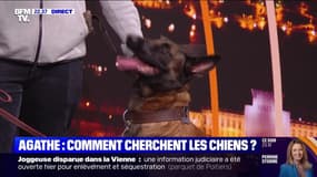 Agathe : cinq jours après, toujours introuvable - 15/04