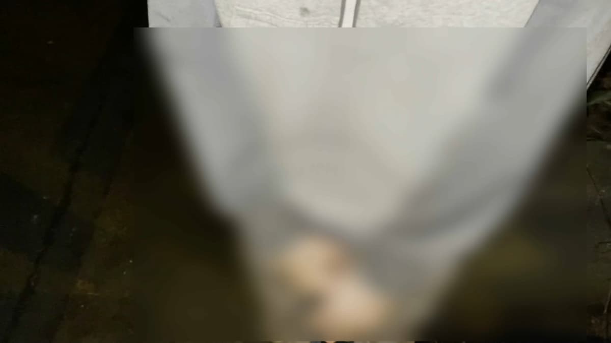 placeholder video