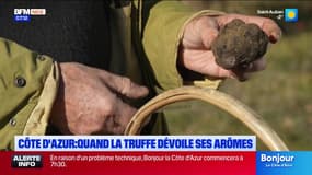 Côte d'azur : quand la truffe dévoile ses arômes