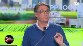Au pays de Hollande: Faut-il tuer davantage de loups ? - 09/02