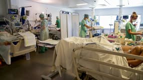 Le personnel médical s'occupe de patients Covid-19 sous assistance respiratoire au Centre Hospitalier de Polynésie Française (CHPF), à Pirae, près de Papeete le 3 septembre 2021