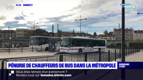 Métropole de Lyon: des lignes de bus moins souvent desservies en raison d'un manque de chauffeurs 
