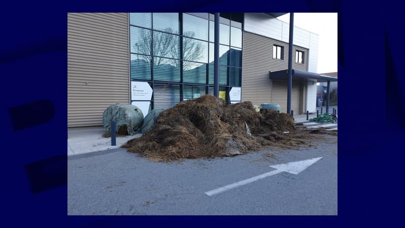 Du fumier et de la paille déversés devant les grandes surfaces d'Embrun et de Baratier dans les Hautes-Alpes.
