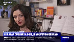 Raphaëlle Giordano sort un nouveau livre, "Le bazar du zèbre à pois" - 15/01