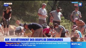 JT du Sud du mardi 1er juillet