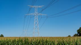 Un pylône électrique. (Illustration)