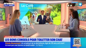 Bonjour Lille du mercredi 8 octobre 2025