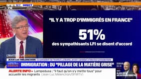 Immigration: "Je crois à la créolisation", affirme Jean-Luc Mélenchon
