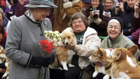 La reine Elizabeth II rencontrant une association de fans de chiens corgis en octobre 2002