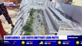 Lyon: les écologistes veulent mettre leur patte dans le quartier Confluence