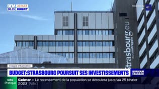 Strasbourg: le budget bientôt présenté en conseil municipal 