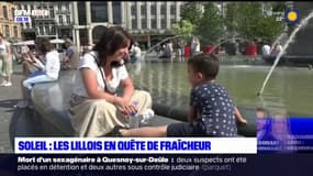 Les Lillois en quête de fraîcheur