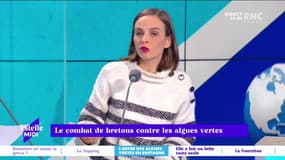 RMC s’engage pour vous : Le combat de Bretons contre les algues vertes - 03/02