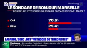 Bouc-Bel-Air: le maire compare l'intrusion chez Lafarge à du "terrorisme"