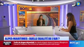 Alpes-Maritimes: les effets délétères à court et long terme de l'exposition à la pollution de l'air