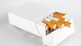 La ministre de la Santé, Marisol Touraine, veut des paquets de cigarette "neutre" pour dissuader les plus jeunes de fumer.