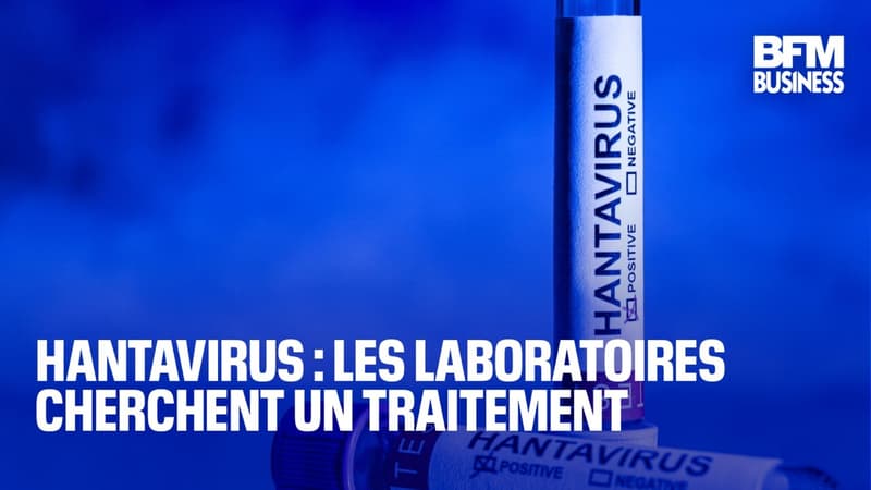 Hantavirus : les laboratoires cherchent un traitement
