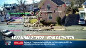 Comment un simple panneau "Stop" est devenu une star sur Twitch?