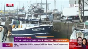 Golfe de Gascogne: la pêche reprend avec des dispositifs de protection des dauphins