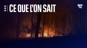 L'incendie de la Montagnette a parcouru 1000 hectares.