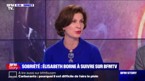 Dominique Carlac’h (Medef) sur la sobriété: "Il fallait peut-être cette crise énergétique pour qu'il y ait une prise de conscience"