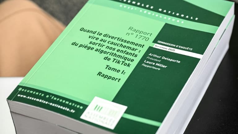 RAPPORT TIKTOK ET RESPONSABILITÉ DES PARENTS: LA CRÉATION D'UN "DÉLIT DE NÉGLIGENCE NUMÉRIQUE" POURRAIT INTERVENIR DANS LES TROIS ANS