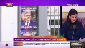 Union de la gauche aux législatives : qu'est ce qui bloque avec les socialistes ?