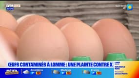 Oeufs impropres à la consommation à Lomme: une étude révèle une contamination à la dioxine 