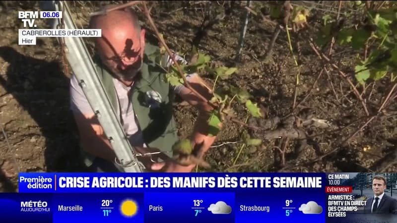 Crise agricole: les agriculteurs annoncent des mobilisations à partir de cette semaine