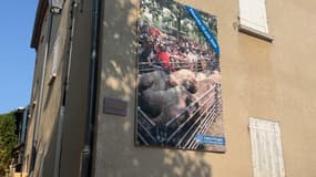 Affiche de la foire d'Ongles (Alpes-de-Haute-Provence) le deuxième dimanche d'août