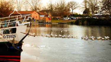 Le canal Roanne-Digoin.