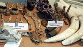 Des défenses d'éléphants et d'autres objets en ivoire saisis par les douanes à l'aéroport Roissy-Charles de Gaulle, en 2005.