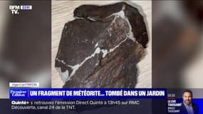 L'image du jour: Un fragment de météorite... tombé dans un jardin - 18/09