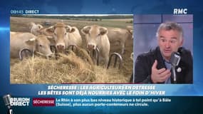 Sécheresse: "Le gouvernement ne se rend pas compte de l'ampleur du phénomène"